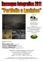 PORTFOLIO A LUCINICO